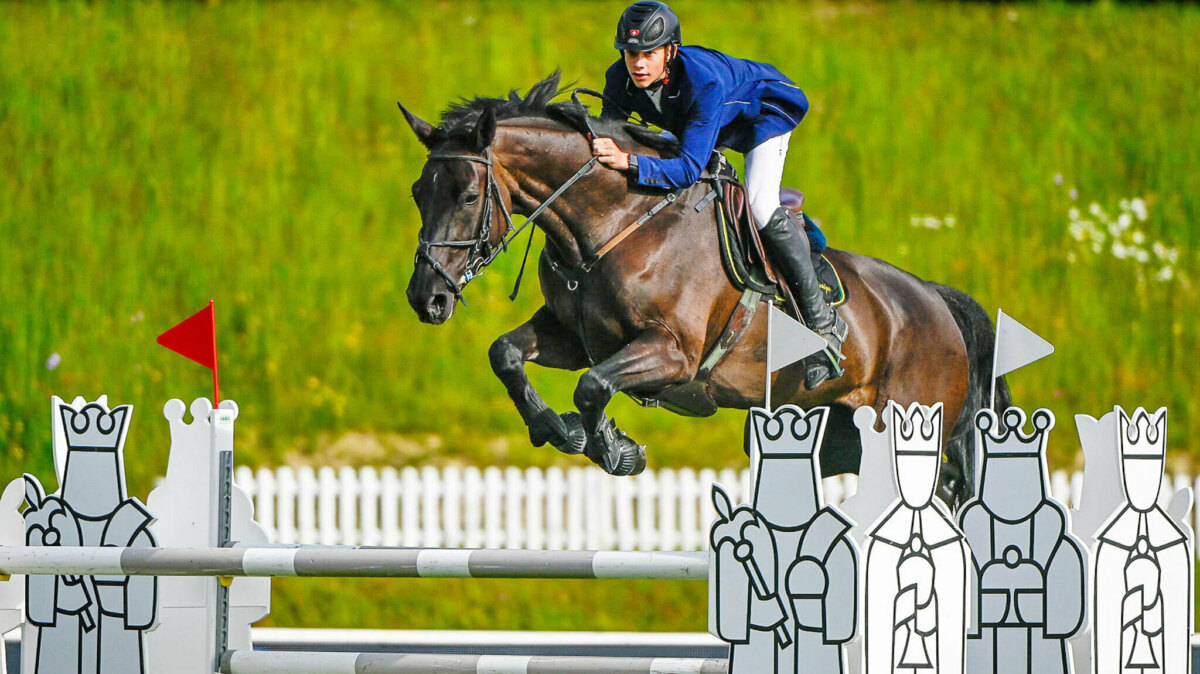 Mit Pferden gross geworden