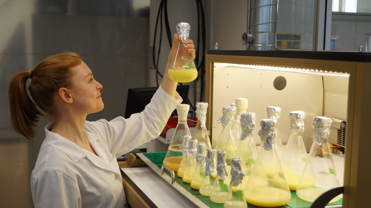 Dr. Iris Haberkorn, Project Lead «Urban Microalgae Protein» Project SEC, mit Mikroalgenkolben.