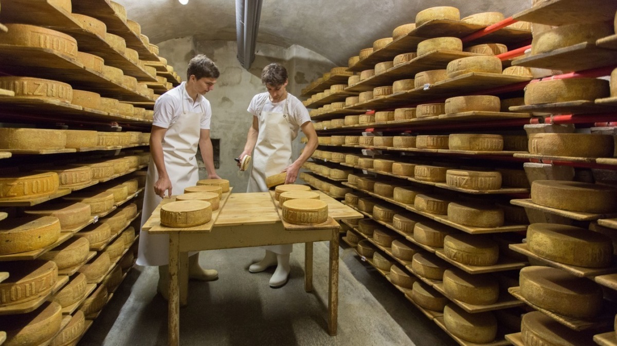 Erster klimaneutral produzierter Käse der Schweiz kommt aus dem Thurgau