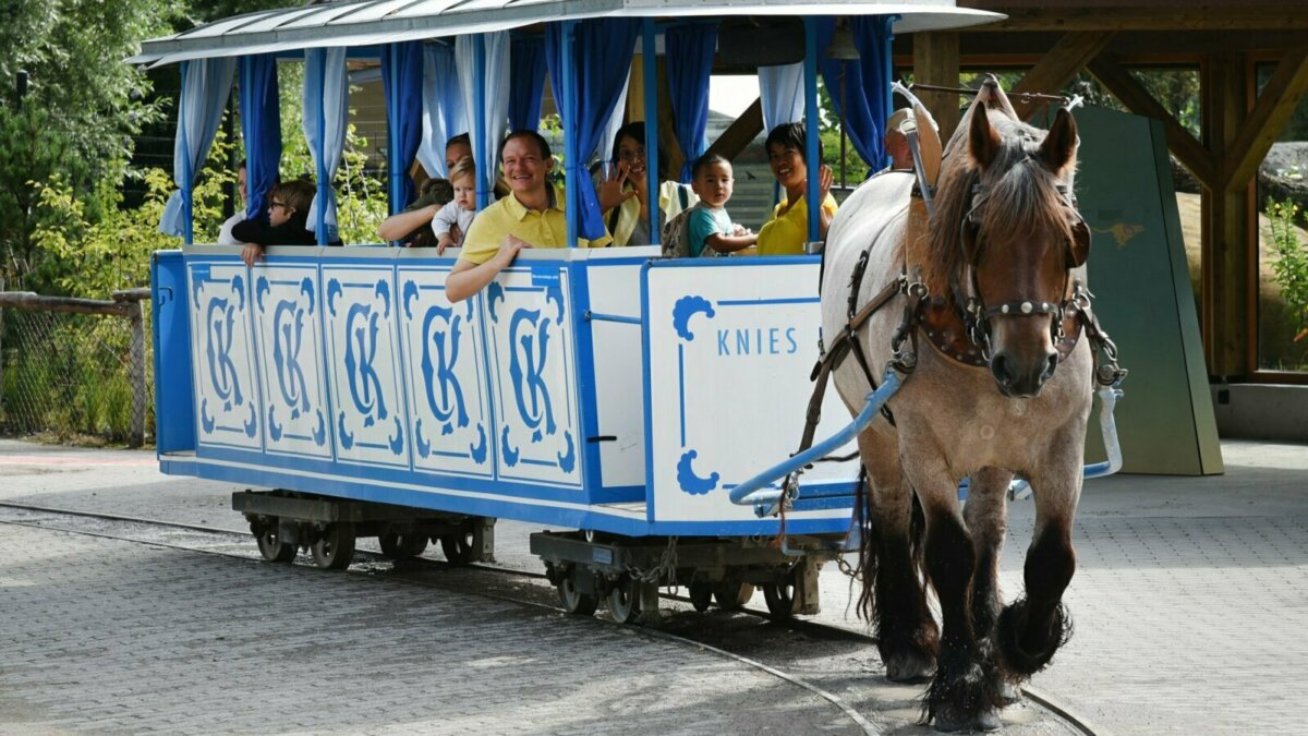 Stadler und Knies Kinderzoo lancieren «Generationenprojekt Rösslitram»