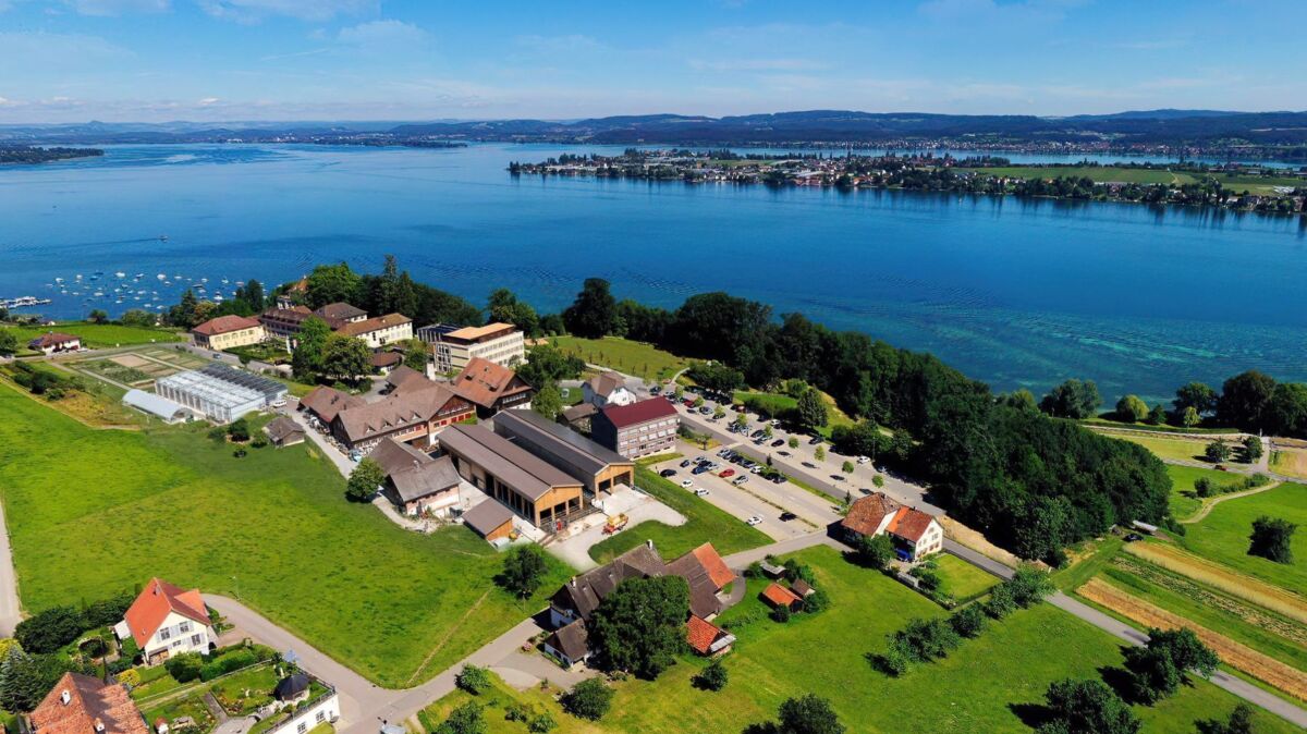 So soll der «Arenenberg» überleben