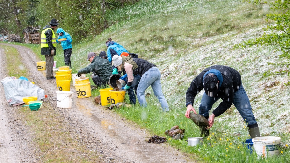 TKB-ler leisten Tausend Stunden gemeinnützige Arbeit