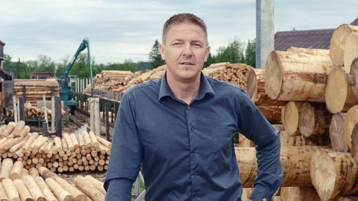 Rundholzpreise im stabilen Hoch