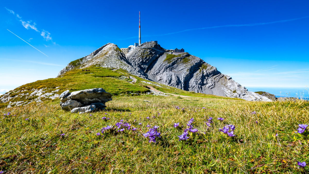 Faszinierend GmbH zeigt ihre Postkarten an der Säntis-Expo