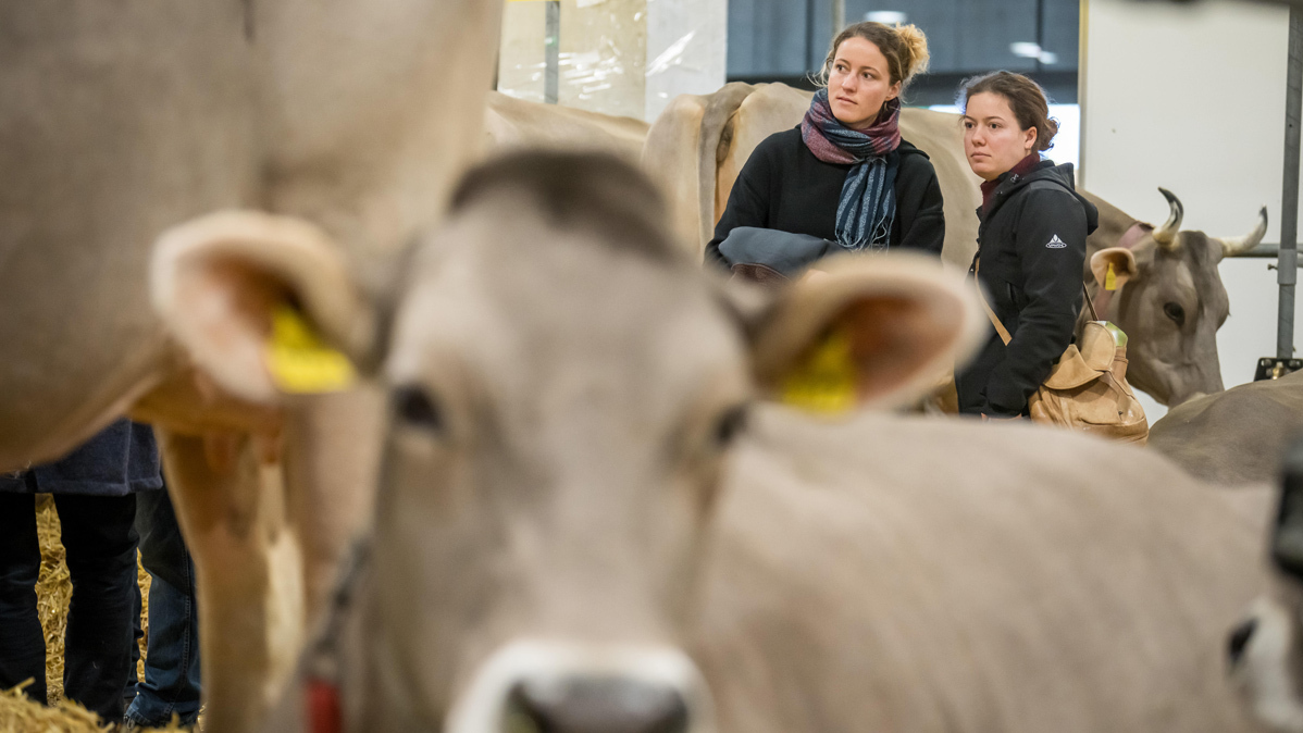 Tier&Technik 2025: Blick in die Zukunft der Landwirtschaft