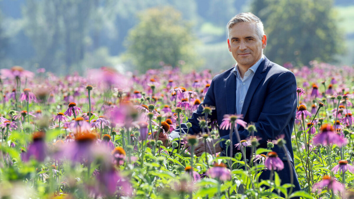 Wie man die Kraft der Natur nutzt