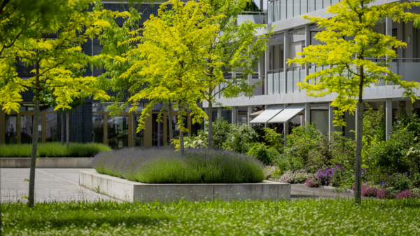 50 Jahre Profis fürs Grün: Wo Natur und Unternehmertum zusammenfinden