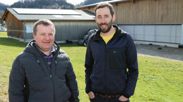 Über den Kühen wird fleissig Strom produziert